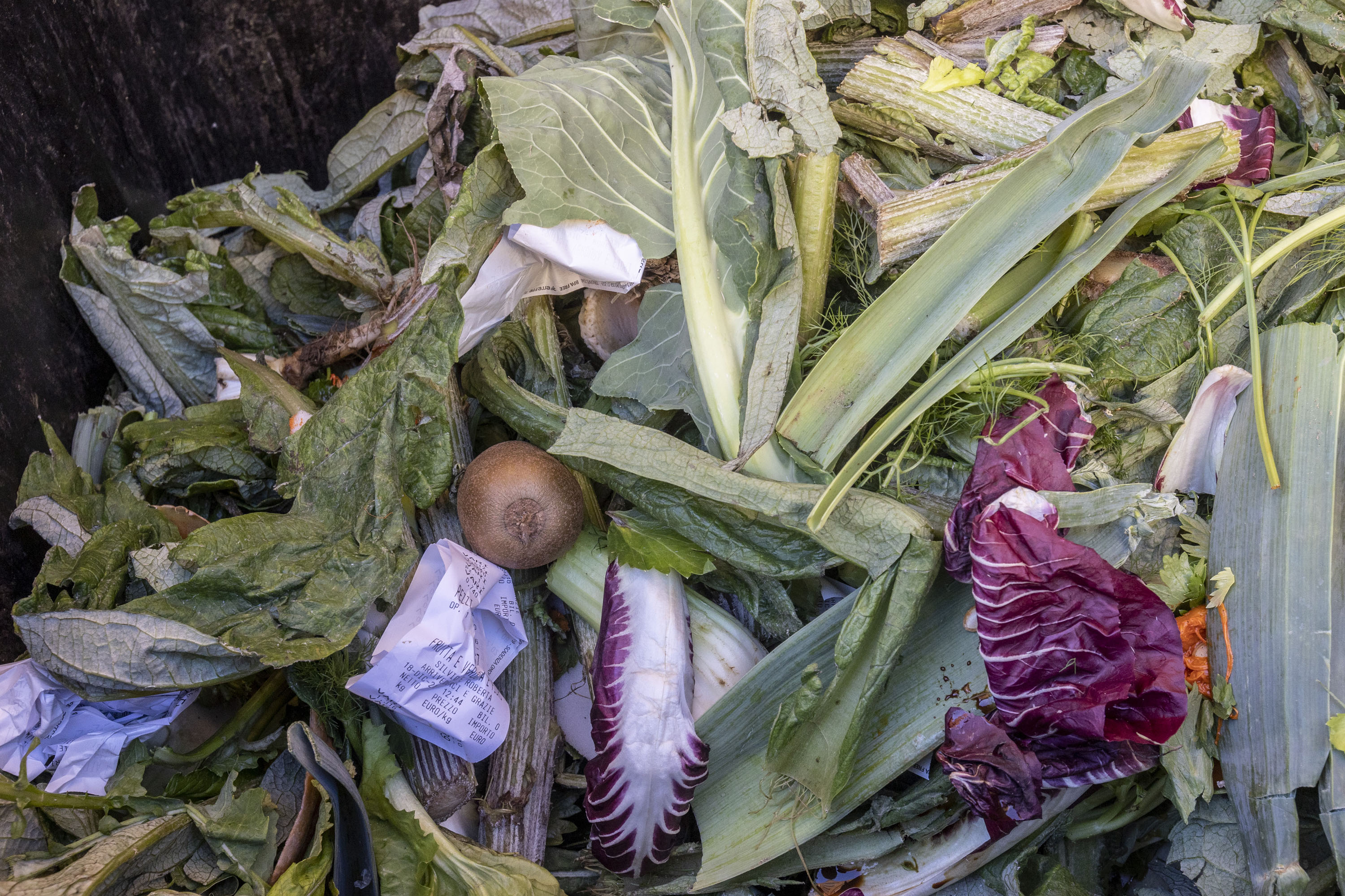 Tackling food loss and waste: A triple win opportunity